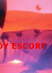 Samsun Merkez Escort - Sadık ve Güvenilir Bayan Partner